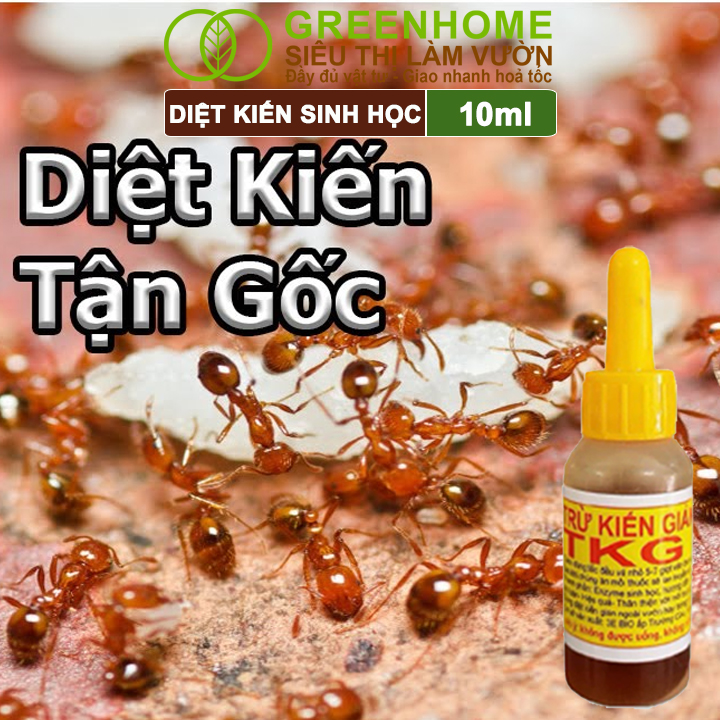 Chế Phẩm Diệt Kiến Greenhome, TKG Bio, Chai 10ml, Thành Phần Tự Nhiên,Diệt Tận Gốc Kiến Hôi,Kiến Lửa