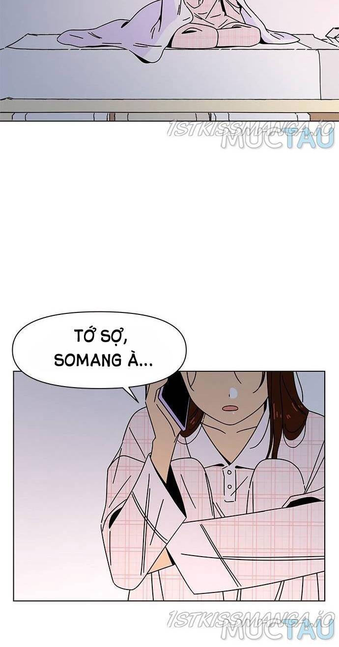 thanh xuân rực rỡ - season of blossom chapter 84 13