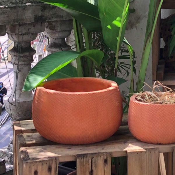 Chậu nồi da rắn size trung