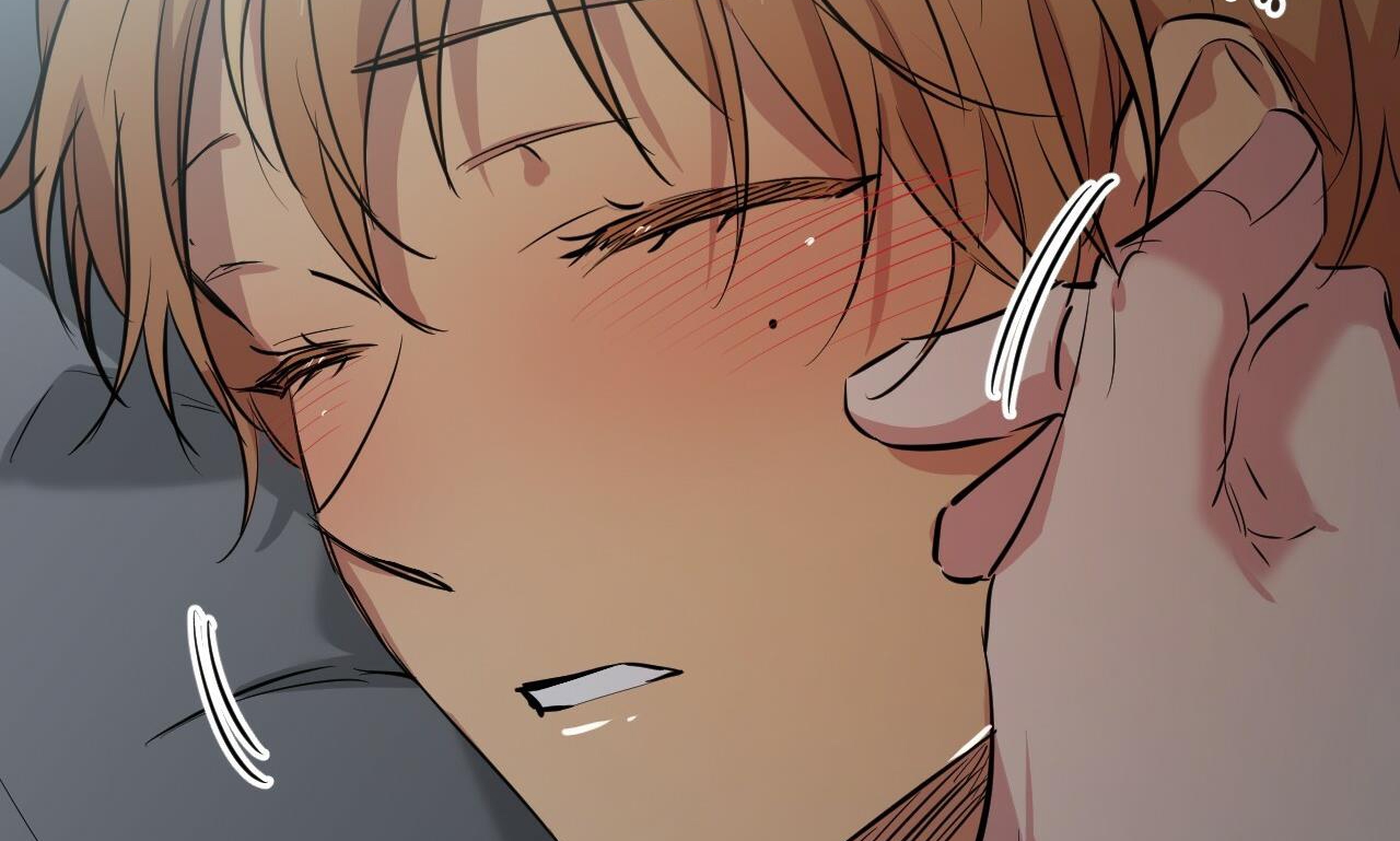 những chú thỏ của hapypy chapter 52 231