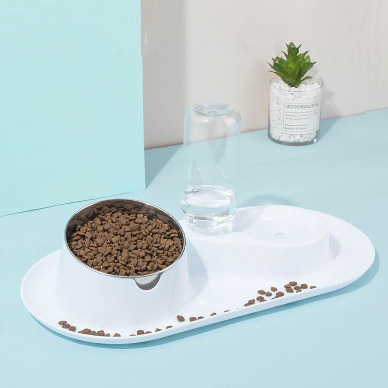 Bát ăn chó mèo tránh bẩn sàn nhà
