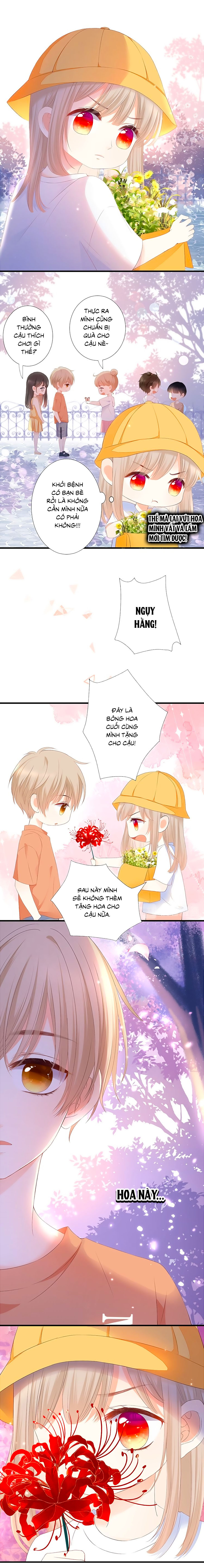 đóa hoa chớm nở chapter 39.6 7