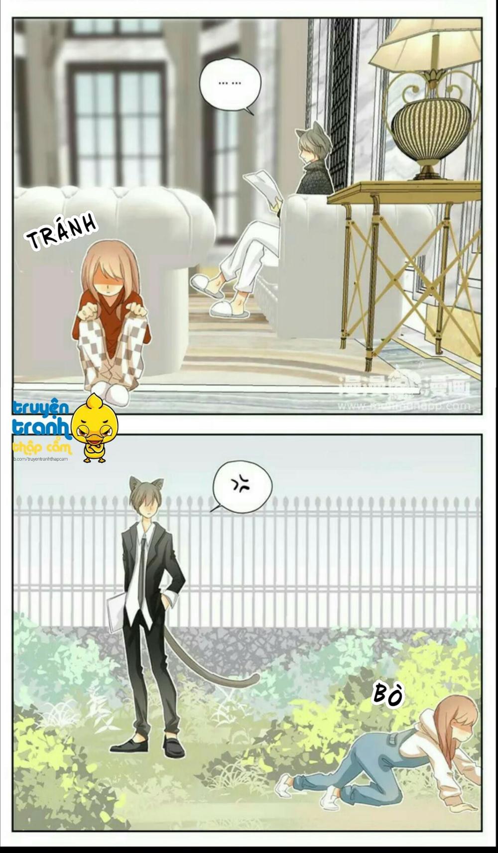 cứu mạng ! loài mèo thống trị thế giới rồi ! chapter 37 3