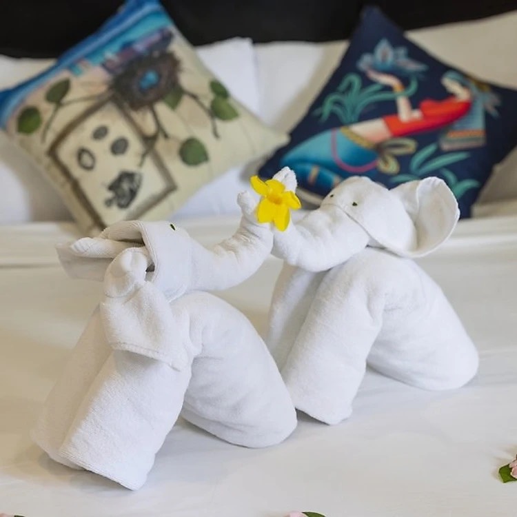 Le Viva Resort 4* Mũi Né - Buffet Sáng, Hồ Bơi Lớn, Bãi Biển Riêng, Ngay Trung Tâm Huỳnh Thúc Kháng, Thuận Tiện Tham Quan