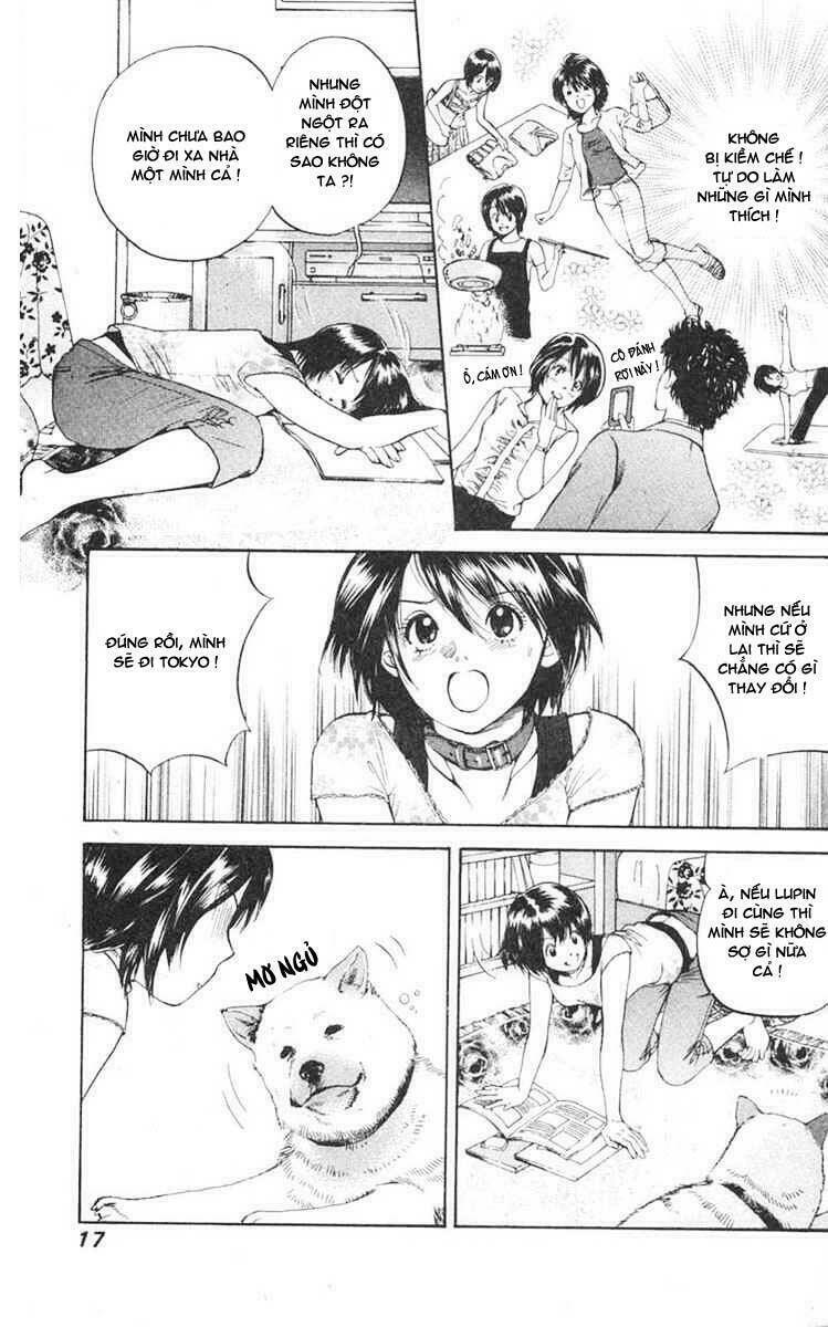 cô nàng yêu chó chapter 1 15