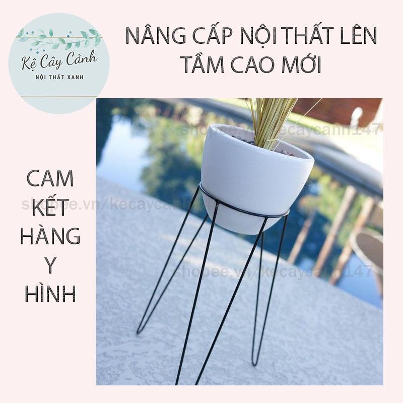 KỆ CÂY CẢNH CỔ ĐIỂN  SANG TRỌNG SƠN TĨNH ĐIỆN - CHỊU LỰC TỐT CHO NỘI THẤT HIỆN ĐẠI