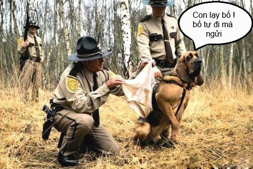 just troll chapter 25 1