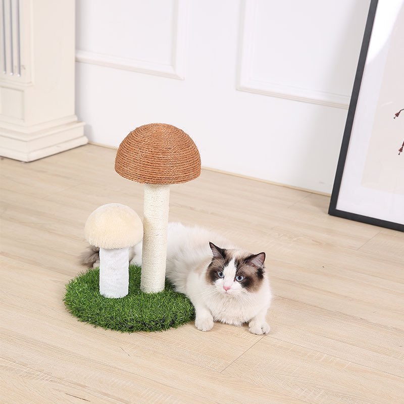 Trụ cào móng hình cây nấm cho mèo - giao màu ngẫu nhiên