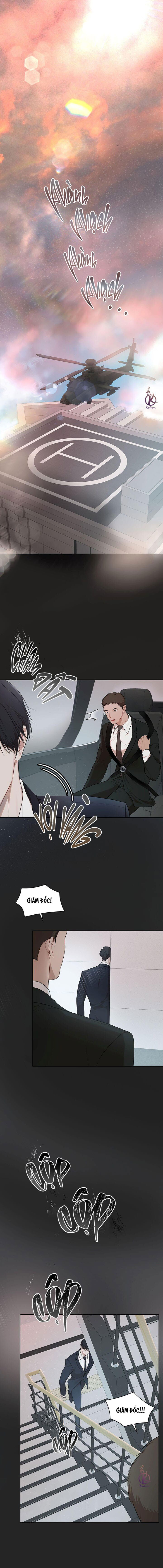 hình thái khởi sinh chapter 62 1