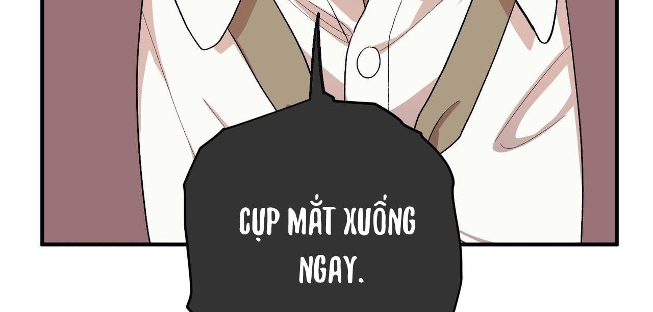 chàng dâu nhà họ kang chapter 58 32