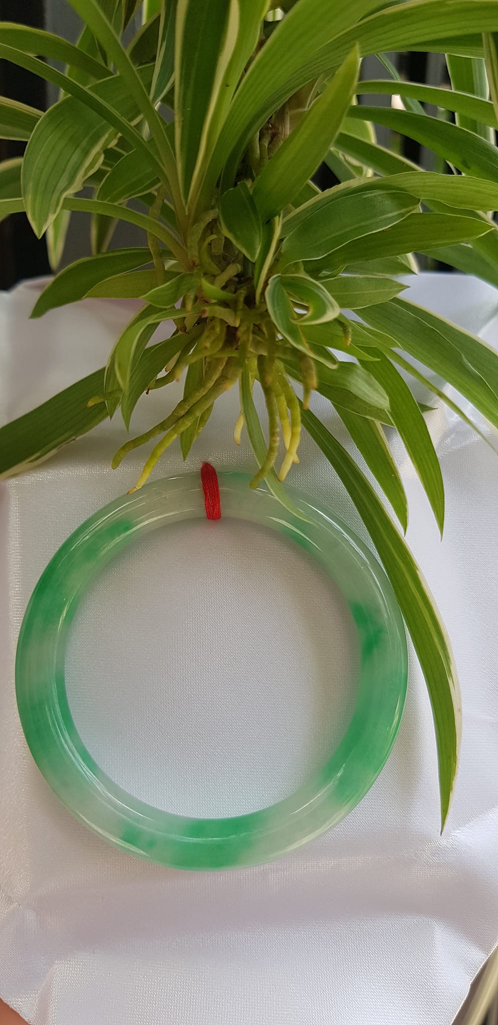 Vòng tay nữ đá Cẩm Thạch tự nhiên mới TR LÝ IC 54mm x chột to 9mm vòng màu trắng xanh lý đẹp nữ 52kg - 56kg đeo ạ