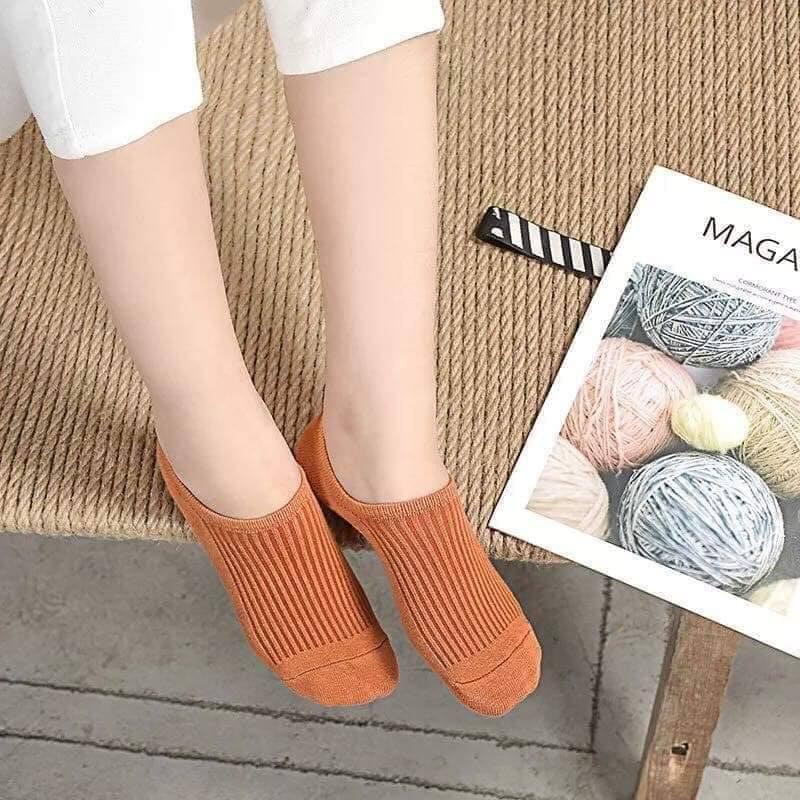 Combo 5 đôi tất gân hài len tăm- Tất gân nữ màu đẹp bạn nữ