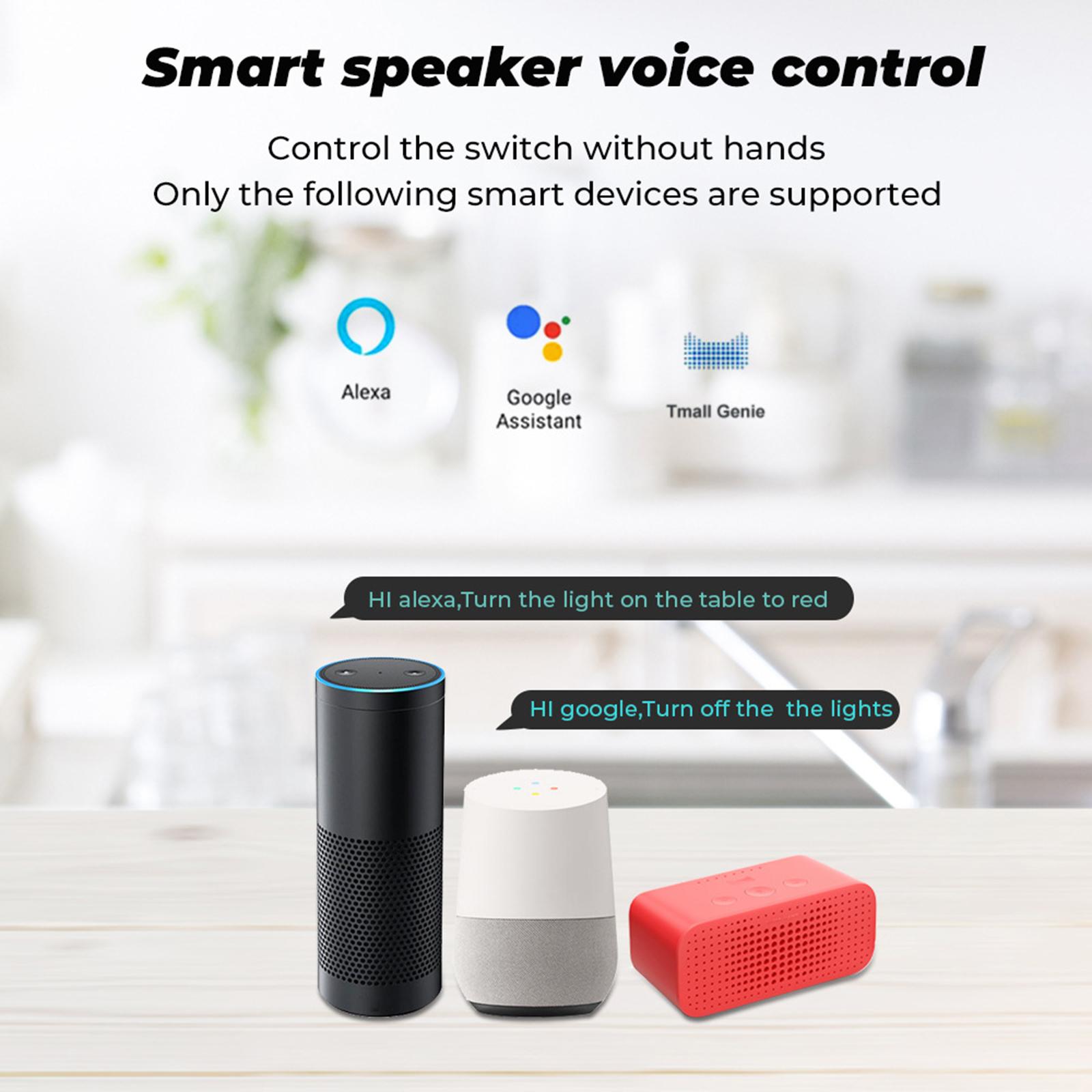 Mini 10A/16A WiFi DIY Smart Switch 2 Way External Remote Control Switch Work with Alexa