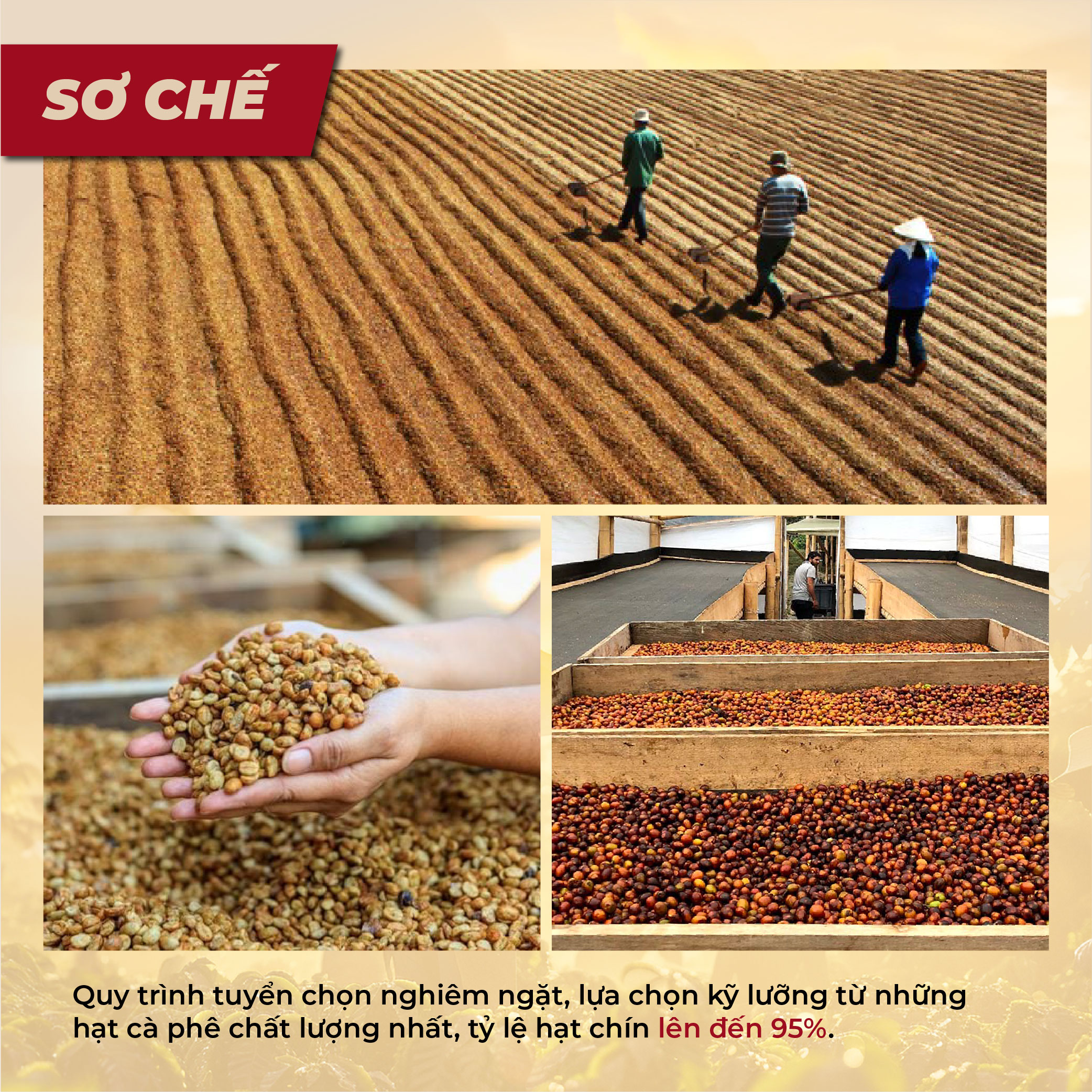 Cà Phê Nguyên Chất Rang Mộc - Gu Pha Phin Truyền Thống Đắng Đậm Thơm Nồng (Đam Mê 3) | 90S COFFEE