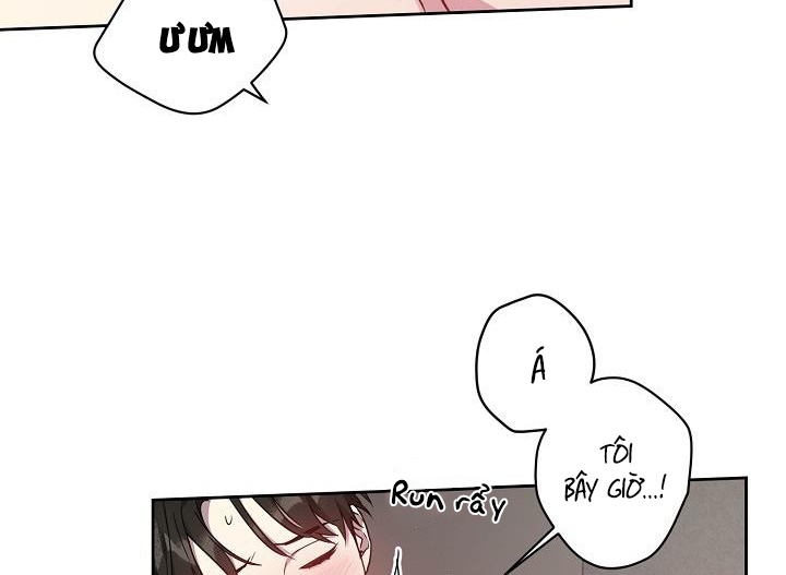 thần tượng đến rồi!? chapter 14 94