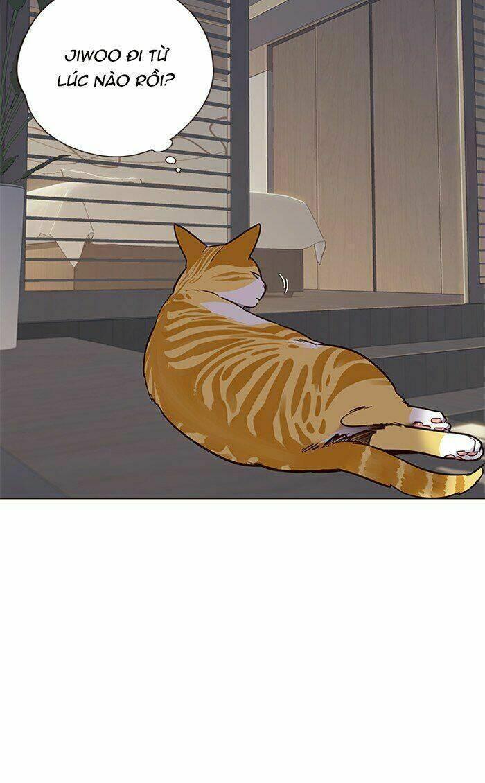 biến thân thành mèo chapter 70 5