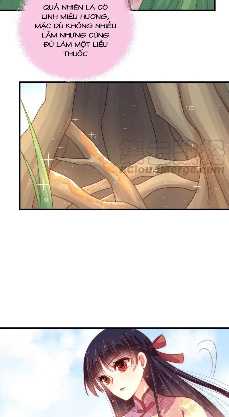 ngày nào thiếu soái cũng ghen chapter 221 7