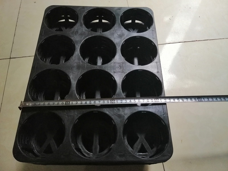 25 KHAY NHỰA CỨNG 12 LỖ TRỒNG RAU ƯƠM MẦM