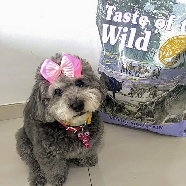 Thức Ăn Cho Chó Poodle Taste Of The Wild Bao 500g - Sierra Mountain Thịt Cừu, Trái Cây Rau Củ Quả