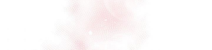 công chúa của loài chim chapter 50.2 1