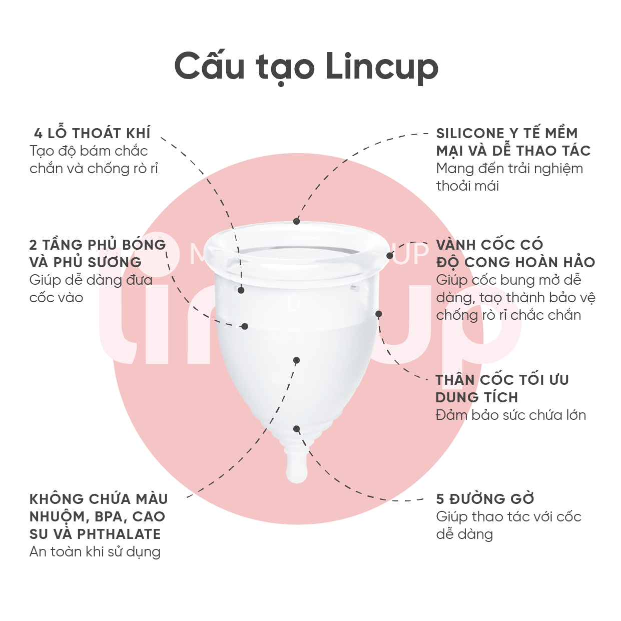 Combo cốc nguyệt san Lincup & Bột vệ sinh CNS Lincare
