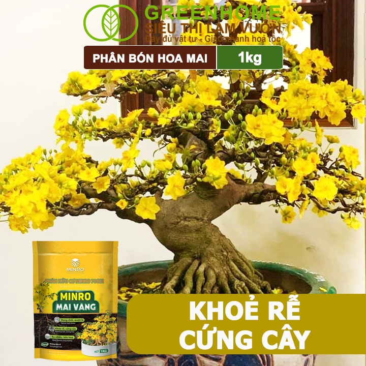 Phân Bón Hoa Mai Greenhome, Minro, Bao 1kg, Hữu Cơ, Dưỡng Cây, Bung Chồi, Mượt Lá, Khoẻ Rễ, Bền Hoa