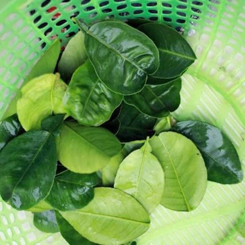1kg lá bưởi khô sạch thu hái từ cây nhà trồng - hàng nhà làm thủ công