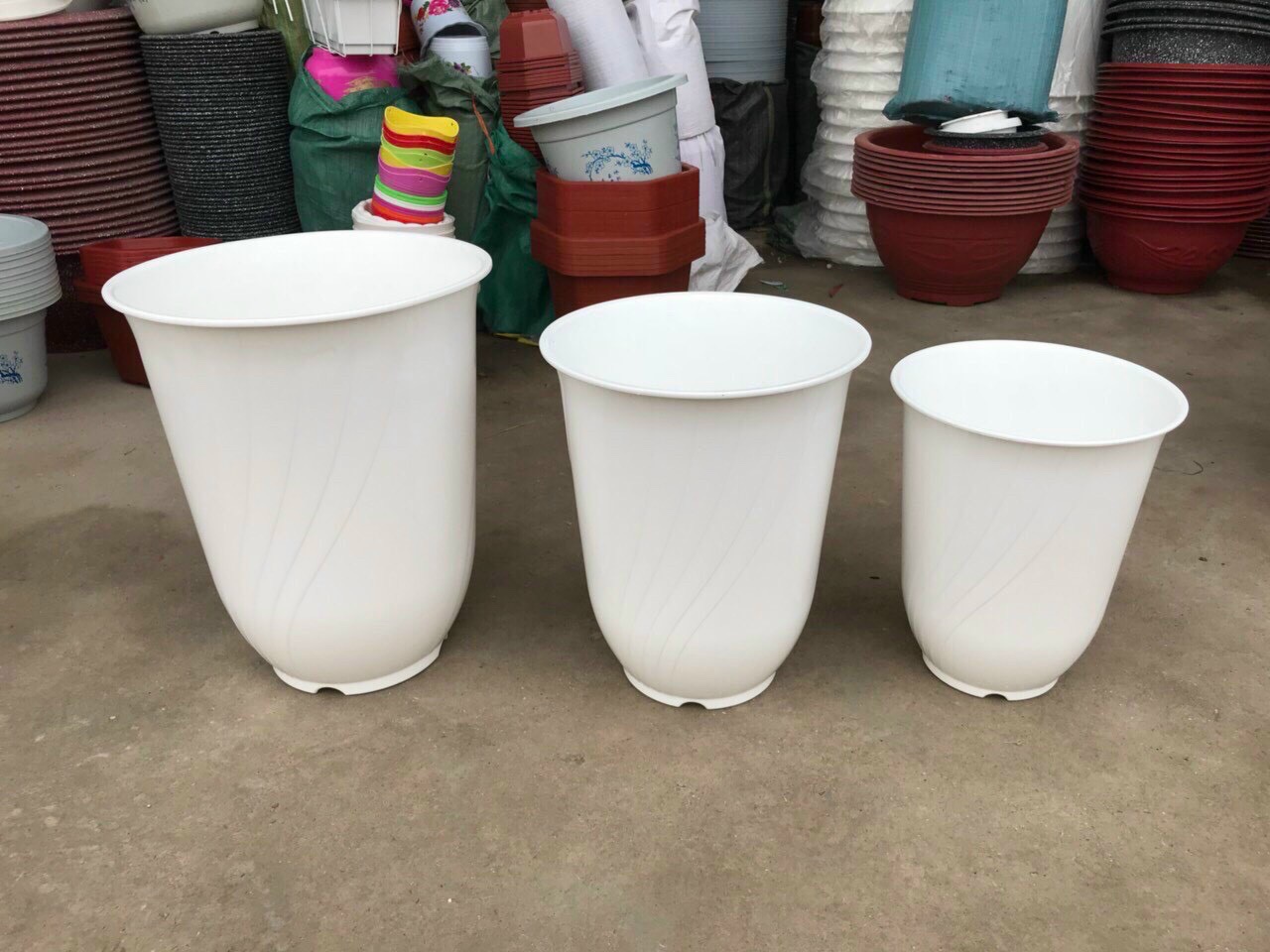 Chậu nhựa trắng size 50*60