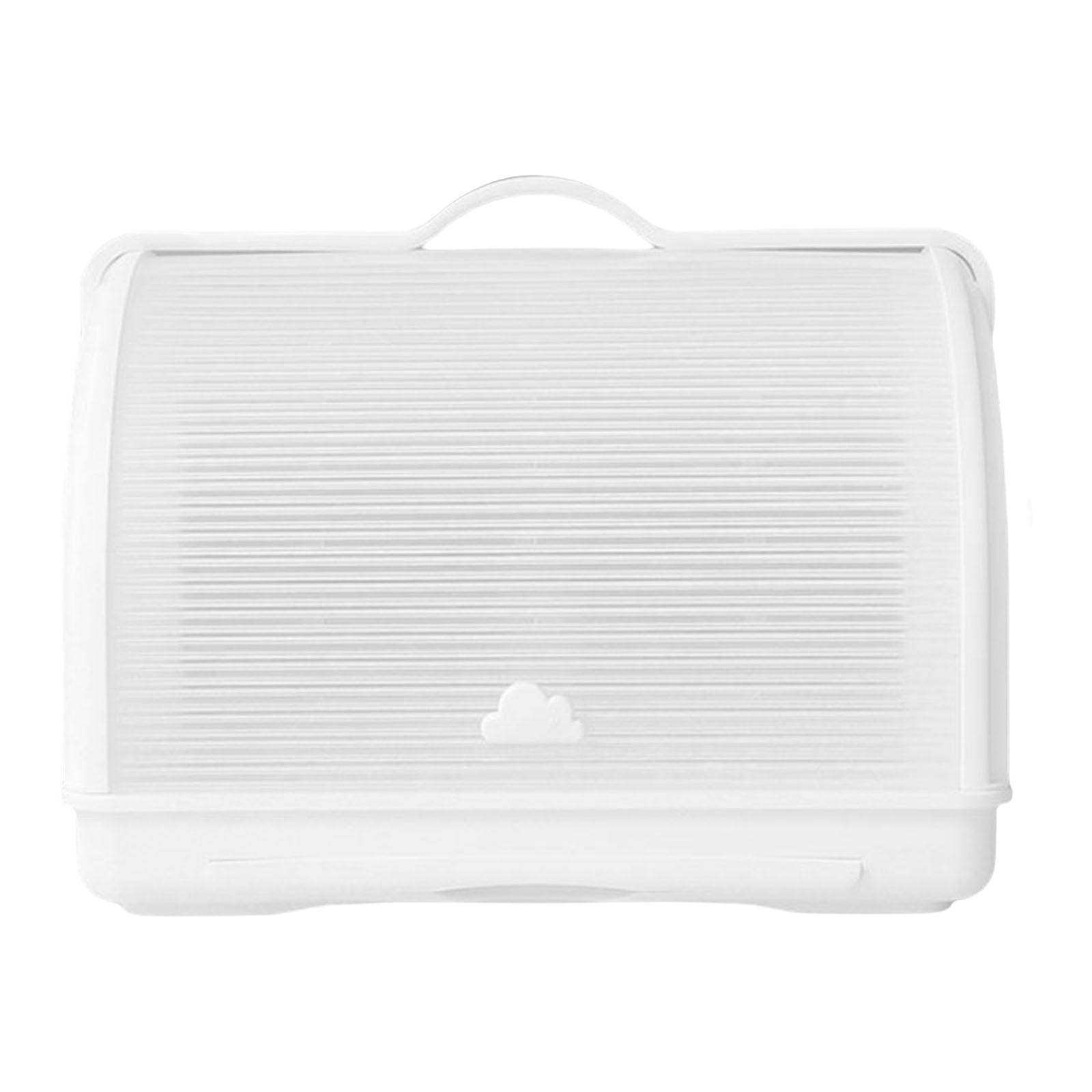 Tableware Box Organizer Countertop Dryer and Cover for Chopsticks Bowl Dish