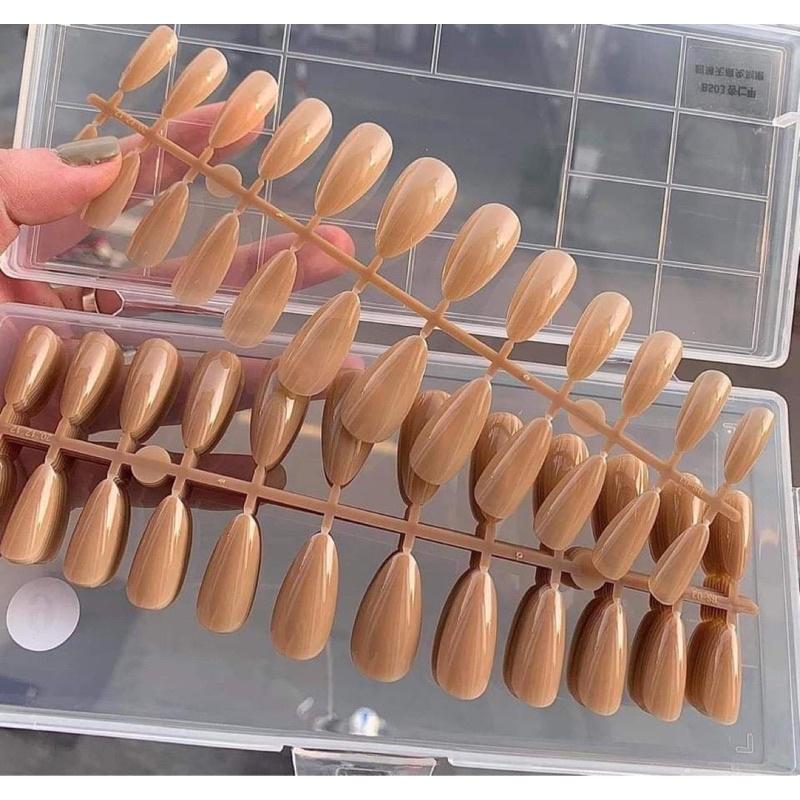 Móng giả màu thạch có sẵn