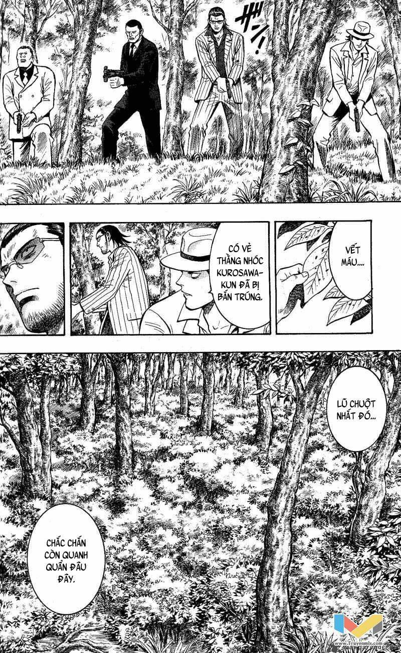 animal sense chapter 11 4