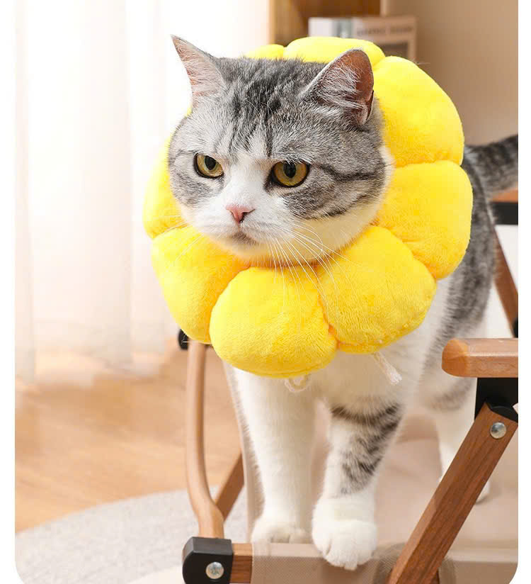 VÒNG CỔ THÚ CƯNG VÒNG CỔ LOA CHỐNG LIẾM CHO THỎ CHÓ MÈO BÔNG HOA DỄ THƯƠNG TỪ 0.5-5.5KG MÃ 10 CHO CHÓ MÈO THỎ