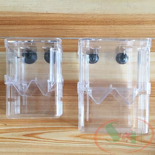 Lồng Dưỡng Cá Tép Mica DIY Hít Thành Hồ Tách Dưỡng Cây, Cá Đẻ