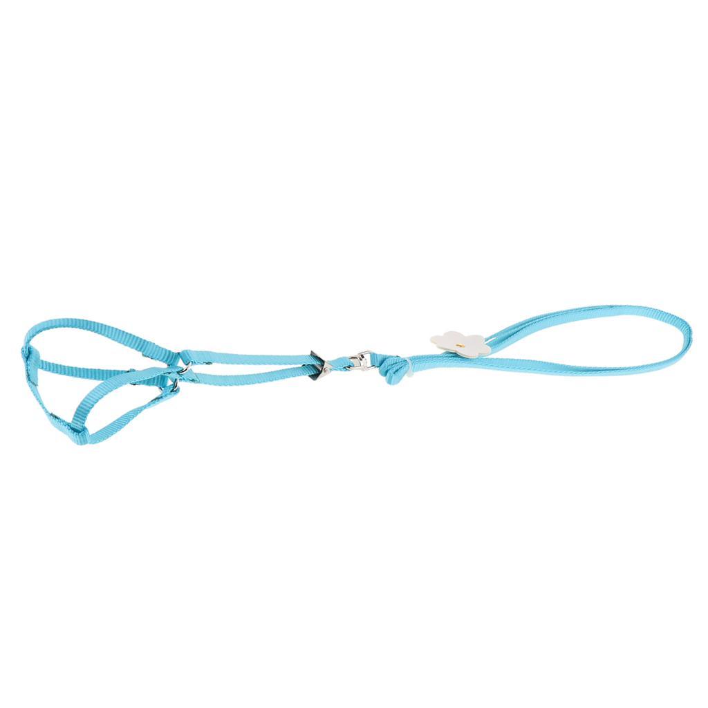 2 Pcs Light Soft Parrot Harness Birds Adjustable Leash Best Care to Pet