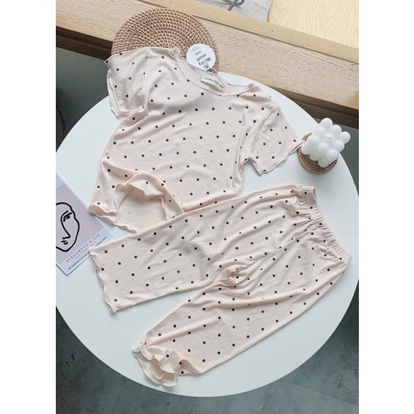 Bộ cotton co dãn cho bé 7-20kg