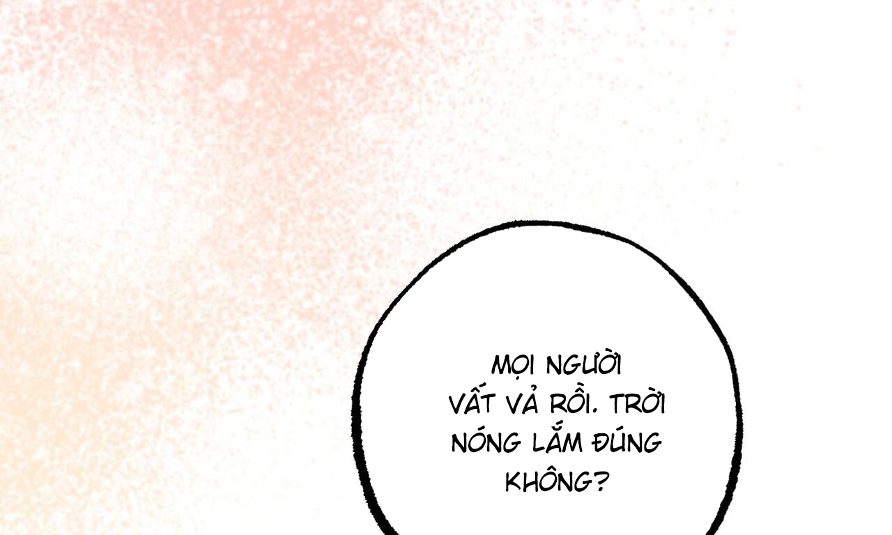 những chú thỏ của hapypy chapter 53 18