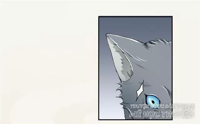 tuyệt thế luyện đan sư chapter 17 31