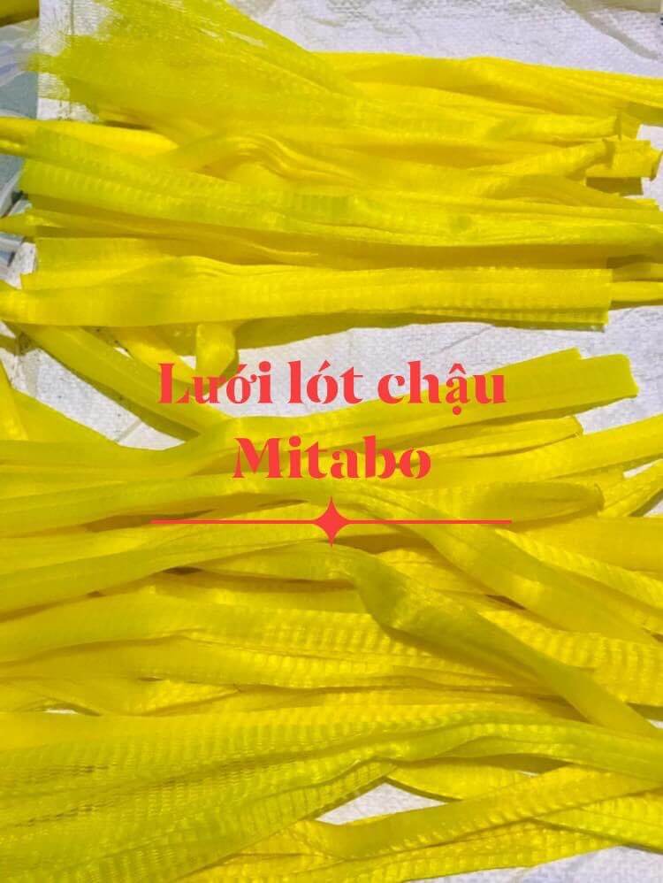 Túi lót chậu chống rơi