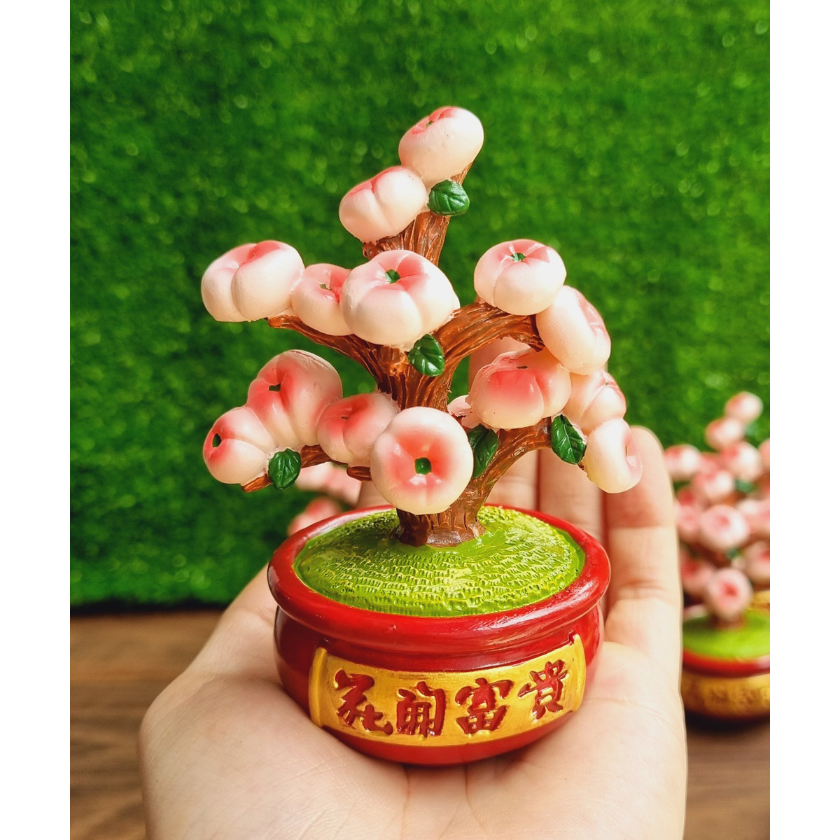 Chậu đào trường thọ 10cm