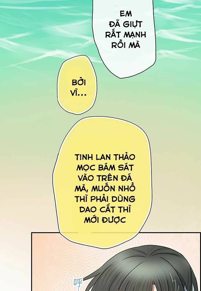 nụ hôn nguyền rủa chapter 21 28