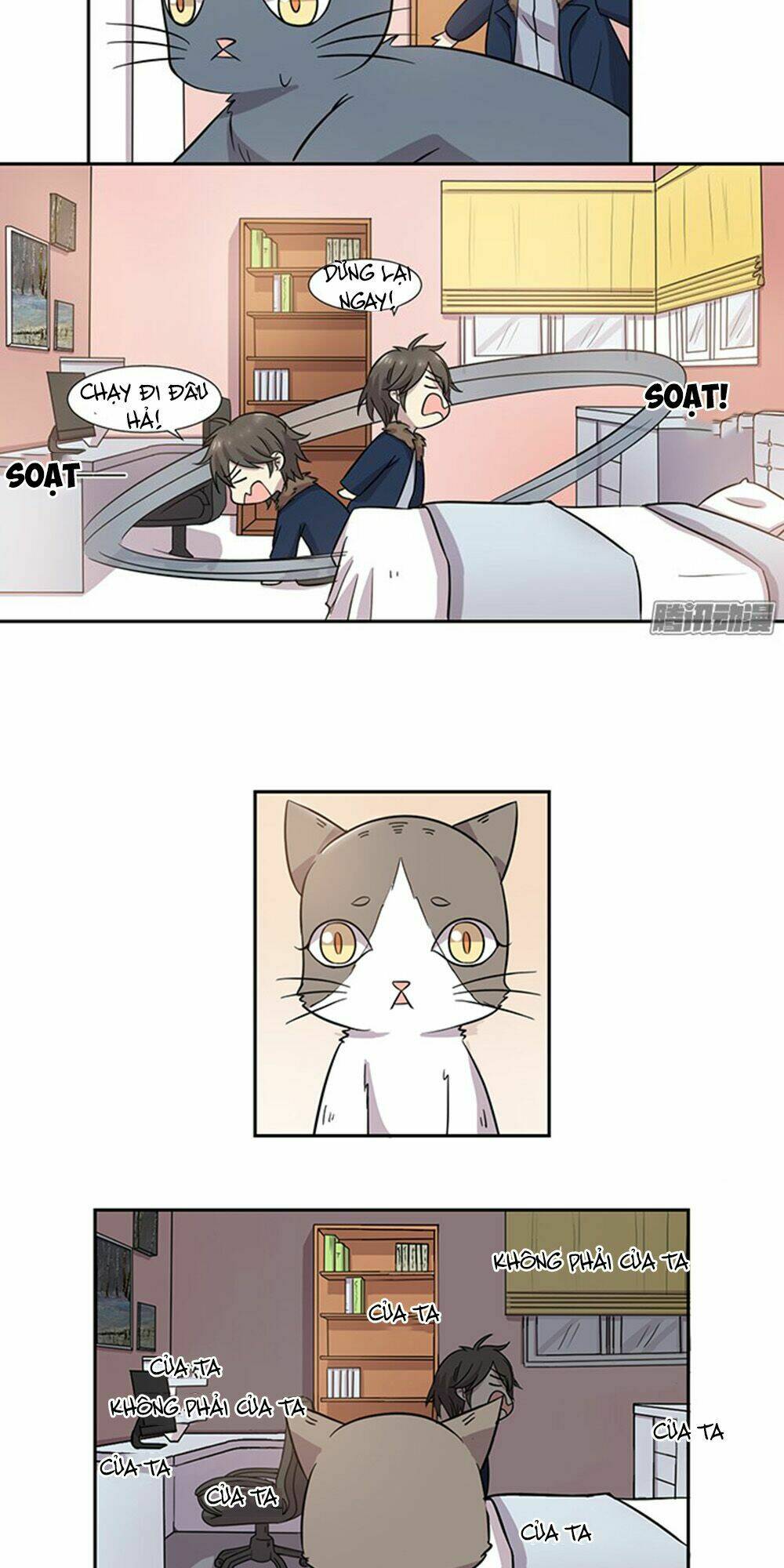 hai chú mèo totem chapter 28 11