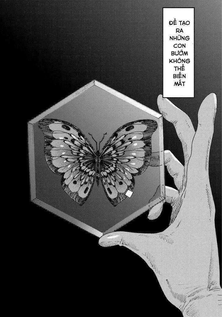 butterfly storage chapter 3 6