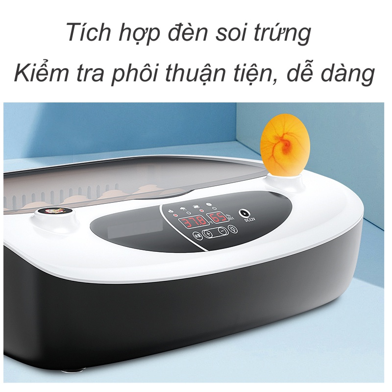 Máy ấp trứng mini 24 trứng - Đảo trứng tự động