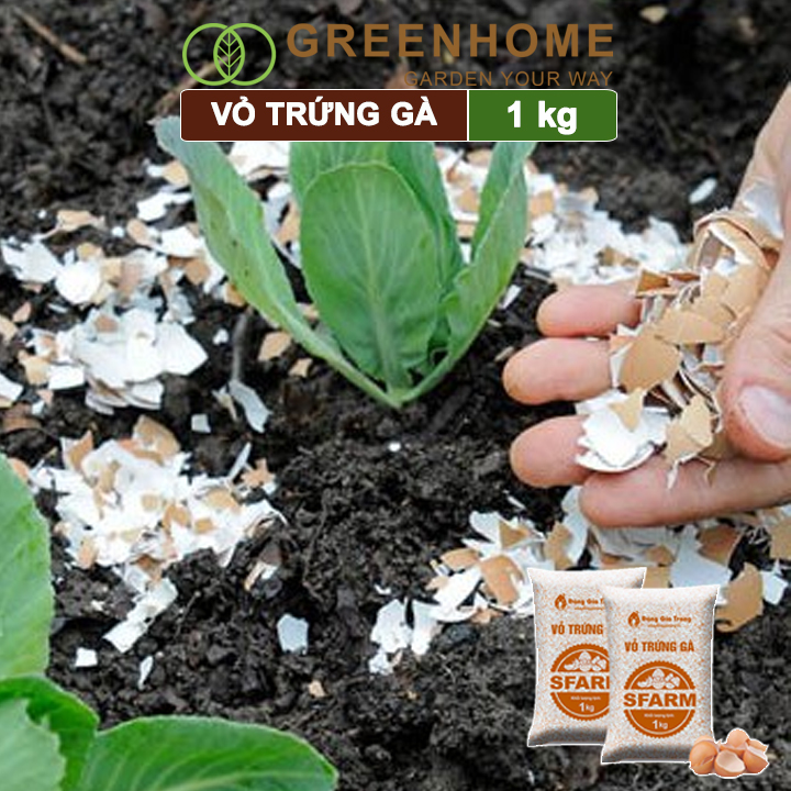 Vỏ trứng gà đã qua xử lý Sfarm, bao 1kg, giúp cây khoẻ, chống côn trùng, sâu bọ |Greenhome