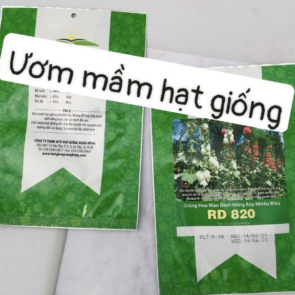 Hạt giống hoa mãn đình hồng kép nhiều màu RD820 RD gói 0.1gr