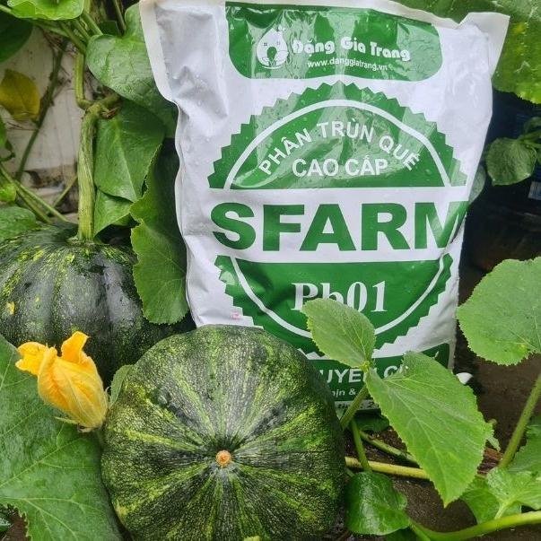 Phân trùn quế SFARM Pb01 túi 5kg