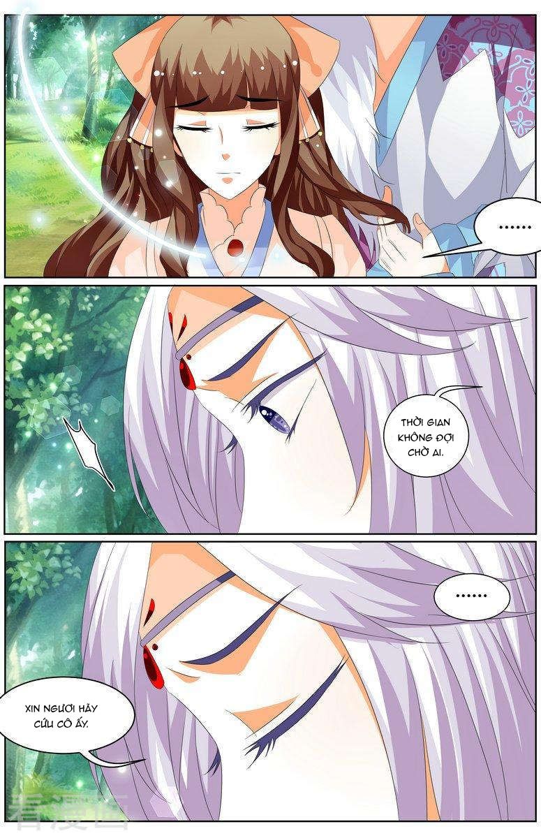 Hồ Thoại Hồ Thuyết chapter 28 - Trang 10
