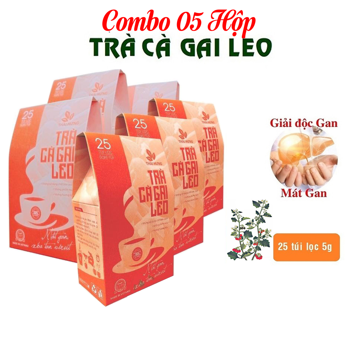 Combo 05 Hộp Trà Cà gai leo Thái Hưng 25 túi lọc x 05g - Mát gan, giải độc, giải rượu, giảm mụn nhọt
