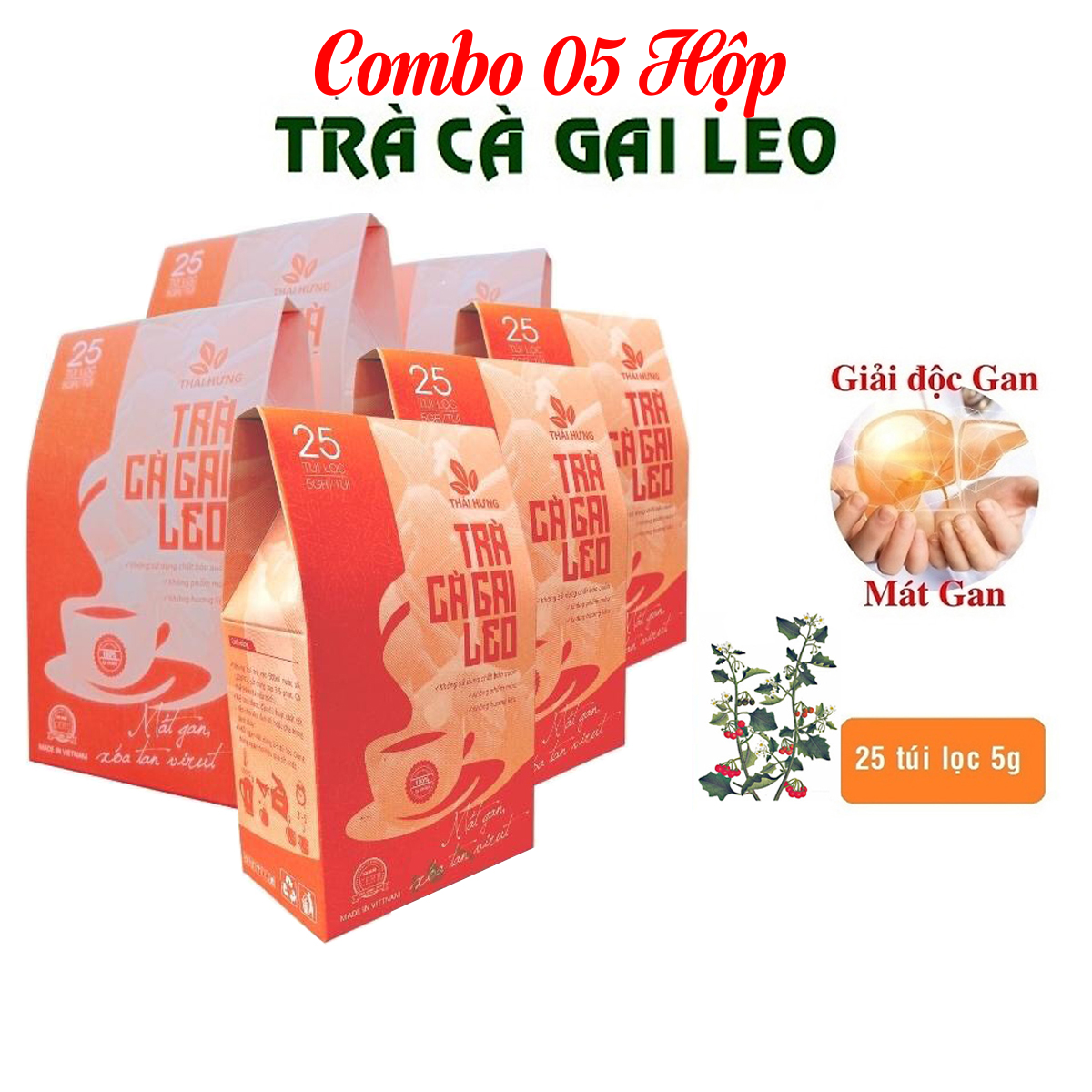 Combo 05 Hộp Trà Cà gai leo Thái Hưng 25 túi lọc x 05g (125g) - Mát gan, giải độc, giải rượu, giảm mụn nhọt