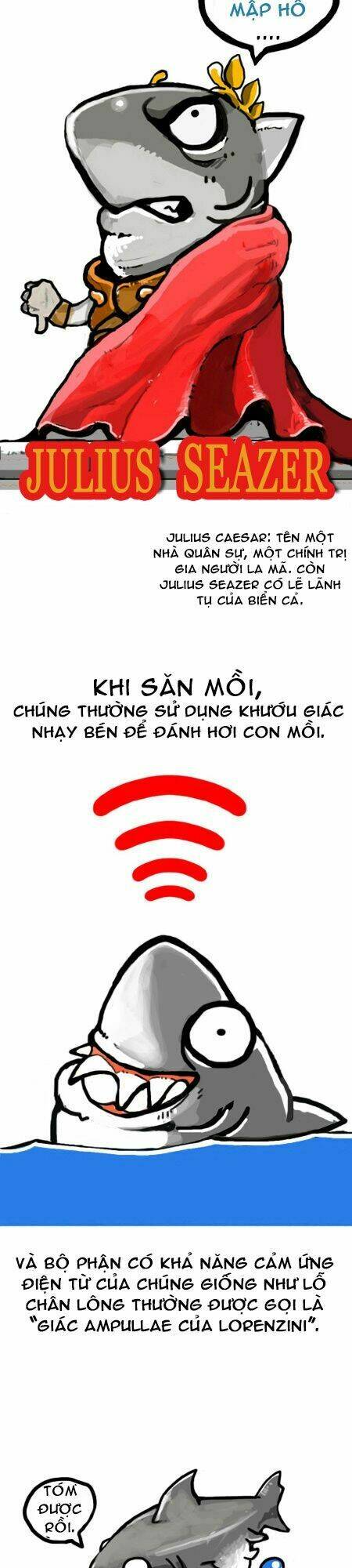 earth, human, and animal chapter 8 9